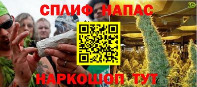 прущие грибы Сланцы