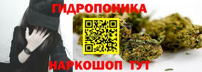 МДПВ Славгород